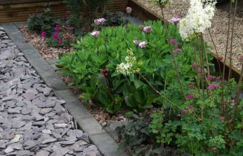 Pebbles, slate and gravel can be used as an inorganic mulch in spring