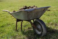 Wheelbarrow of well-rotted manure for a spring time mulch