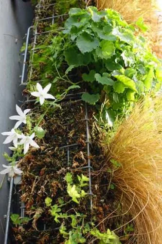 Living wall plant containers - ideas for vertical planting from Weatherstaff 