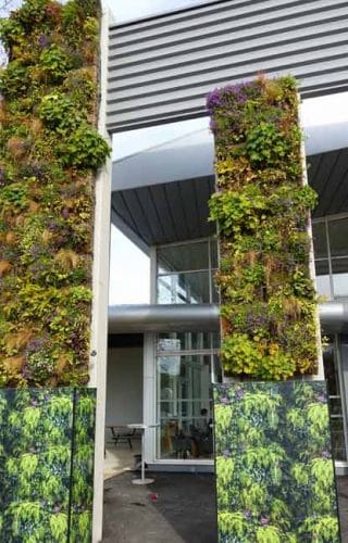 Living wall tapestries - Weatherstaff garden design software