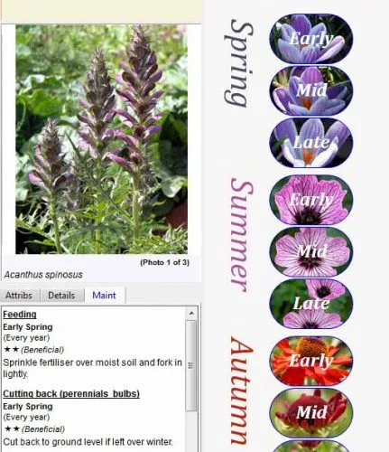 Weatherstaff PlantingPlanner displays maintenance instructions for individual plants