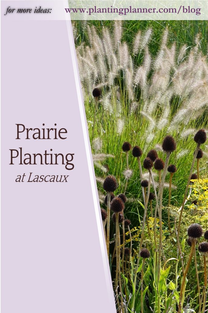 Prairie Planting at Lascaux - from Weatherstaff garden design software