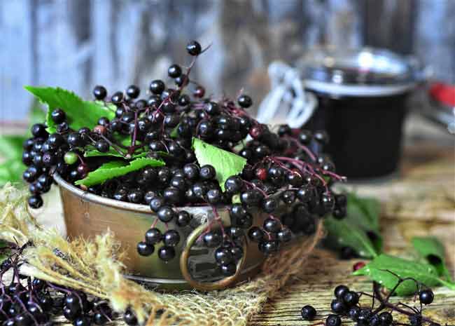 Elderberries in a bowl with a glass of liqueur