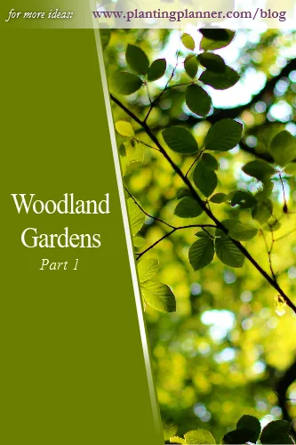 Woodland Gardens Part 1 - from Weatherstaff garden design software