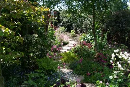 Stepping stone path through woodland area