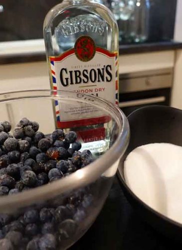 Assembling the ingredients for sloe gin