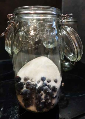 Kilner jar containing sloes and sugar