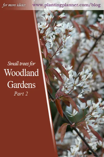 Woodland Gardens Part 2 - from Weatherstaff garden design software