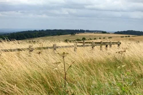 A fence zigzags along the Ridgeway
