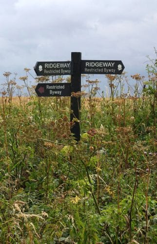 Wooden signpost with wildflowers