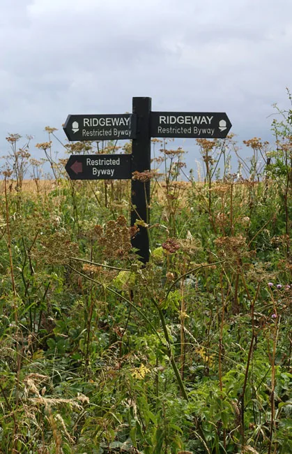 Wooden signpost with wildflowers