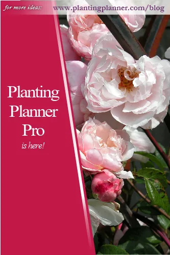 PP Pro is here - from Weatherstaff garden design software