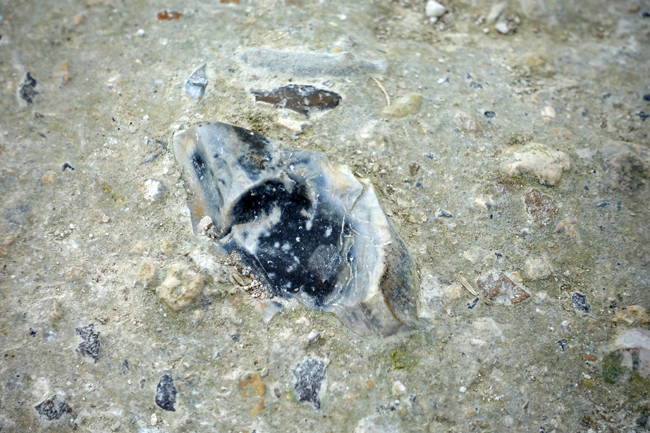 Close-up of flint in chalk