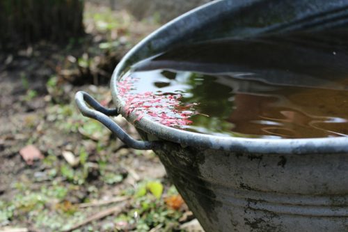 Rainwater in metal bucket