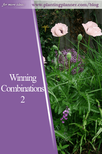 Winning Combinations 2 - from Weatherstaff garden design software